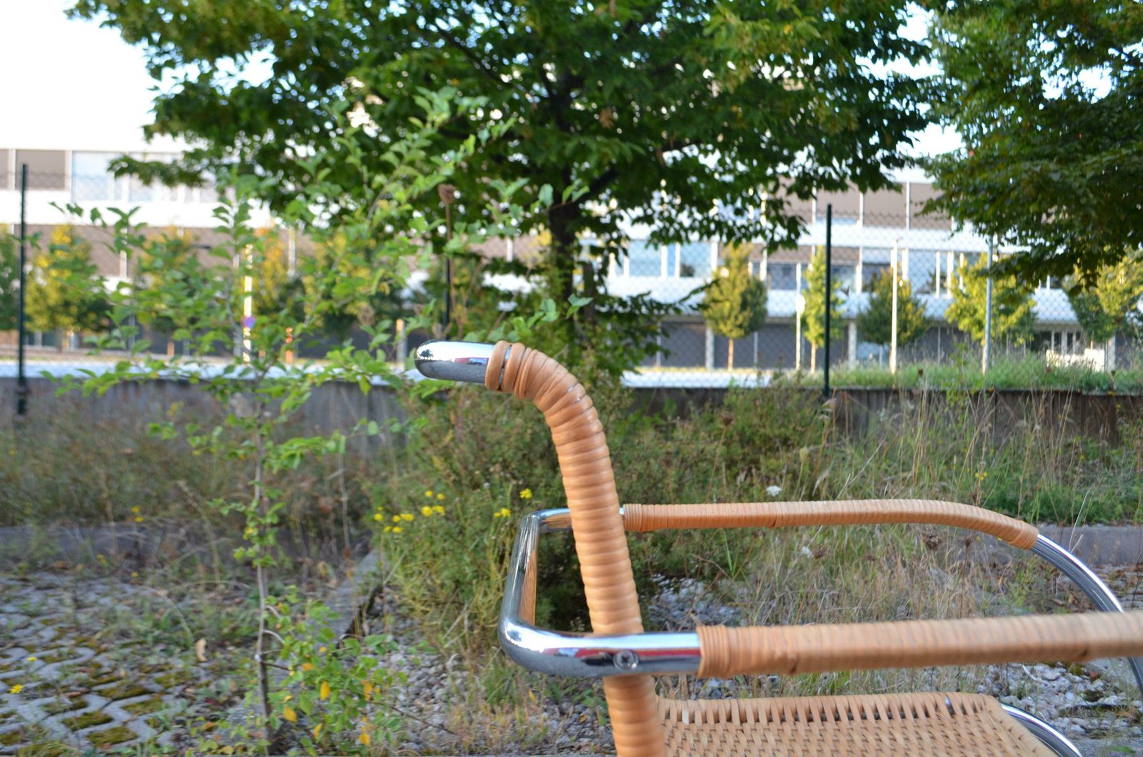 6353.0 Early Thonet S533 Rf Cane Weißenhof Armchair Chair Mies Van Der Rohe Set Of 2 photo