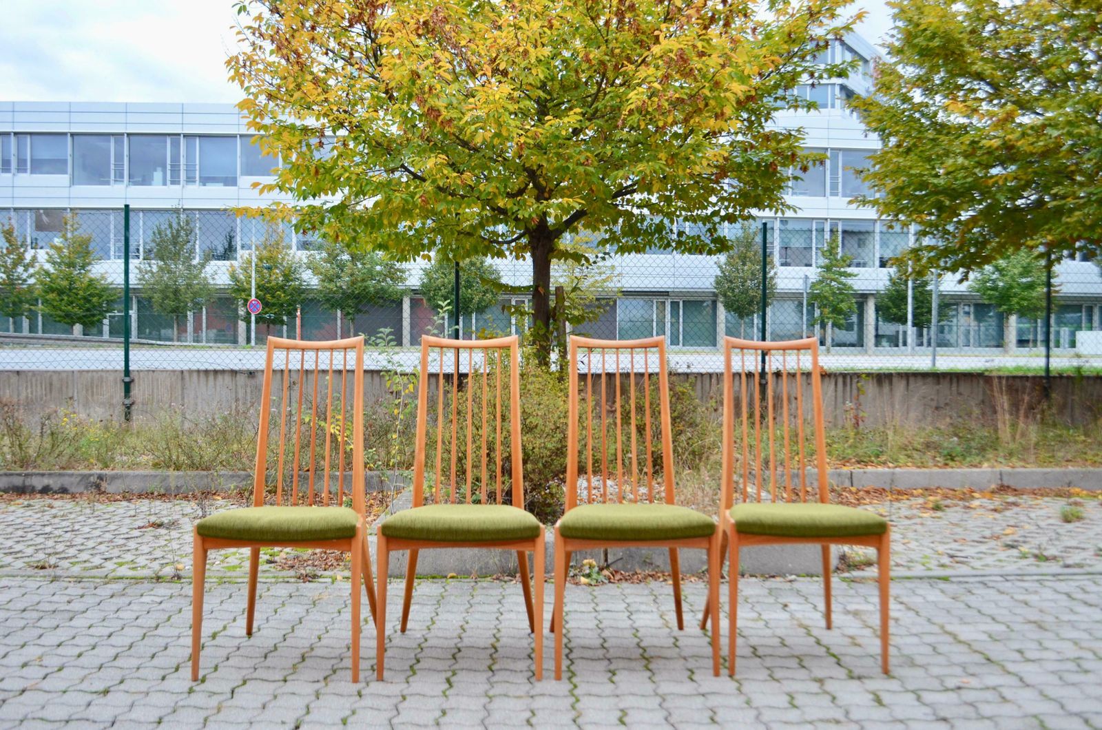 Ernst Martin Dettinger German Mid Century Dining Chair Lucas Schnaidt Set Of 4 photo for sale