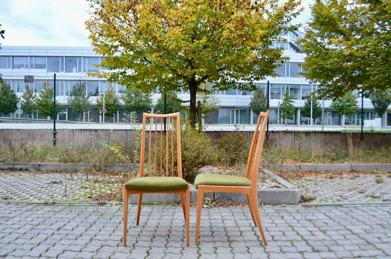 Ernst Martin Dettinger German Mid Century Dining Chair Lucas Schnaidt Set Of 4 photo 2648.0