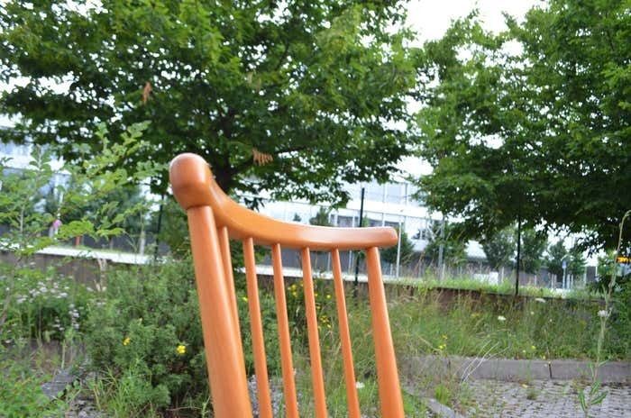 photo for sale Germany Dining Chairs Wk Möbel Arno Lambrecht Wks Series 1950 Set Of 4
