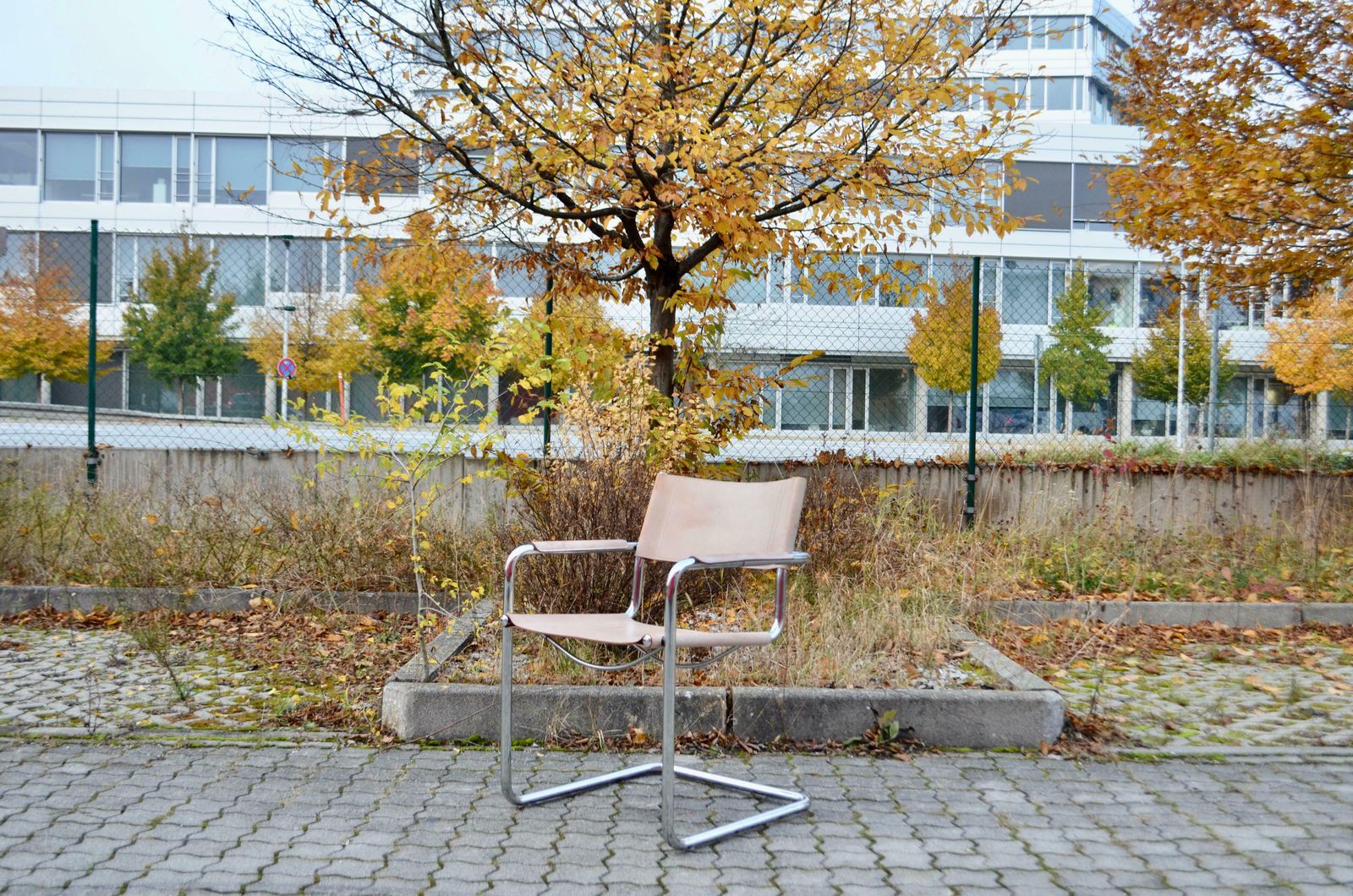 photo vinterior Matteo Grassi Cantilever Mg Skin Coloured Leather Chair By Centro Studi
