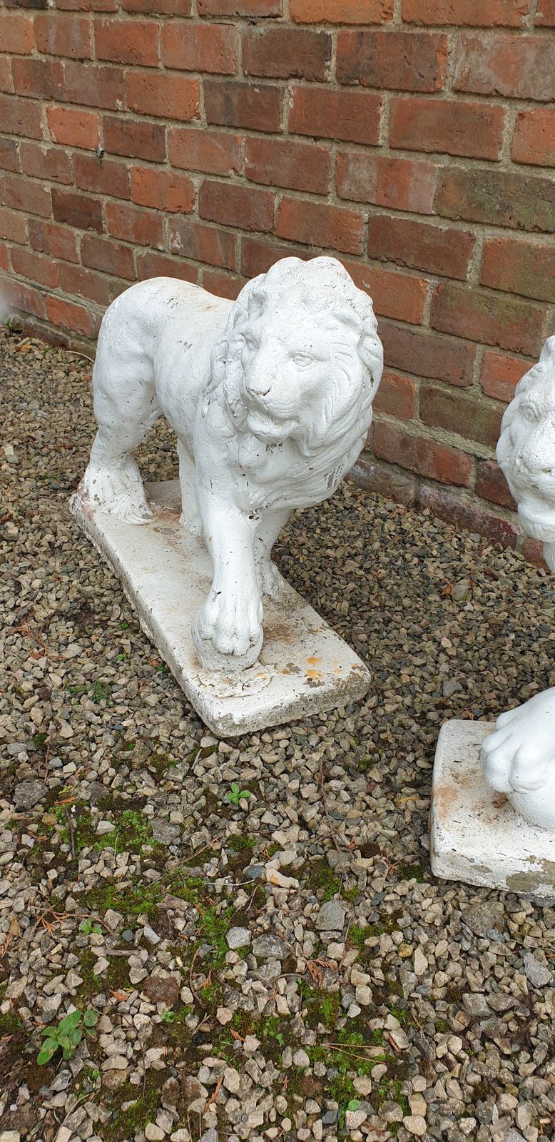 Large Pair Stone Lions, 1900s, Antique photo Garden Decor