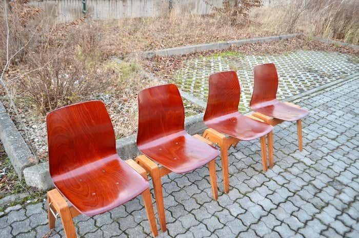Mid Century Bentwood Plywood Chairs Stackable By Royal Germany Set Of 4 photo furniture