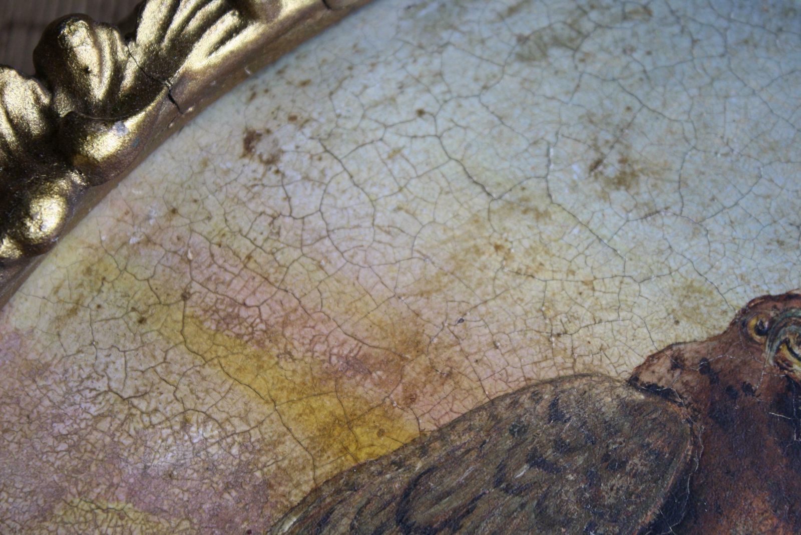 19th Century Oil On Tin Bird Of Pray Golden Eagle photo for sale