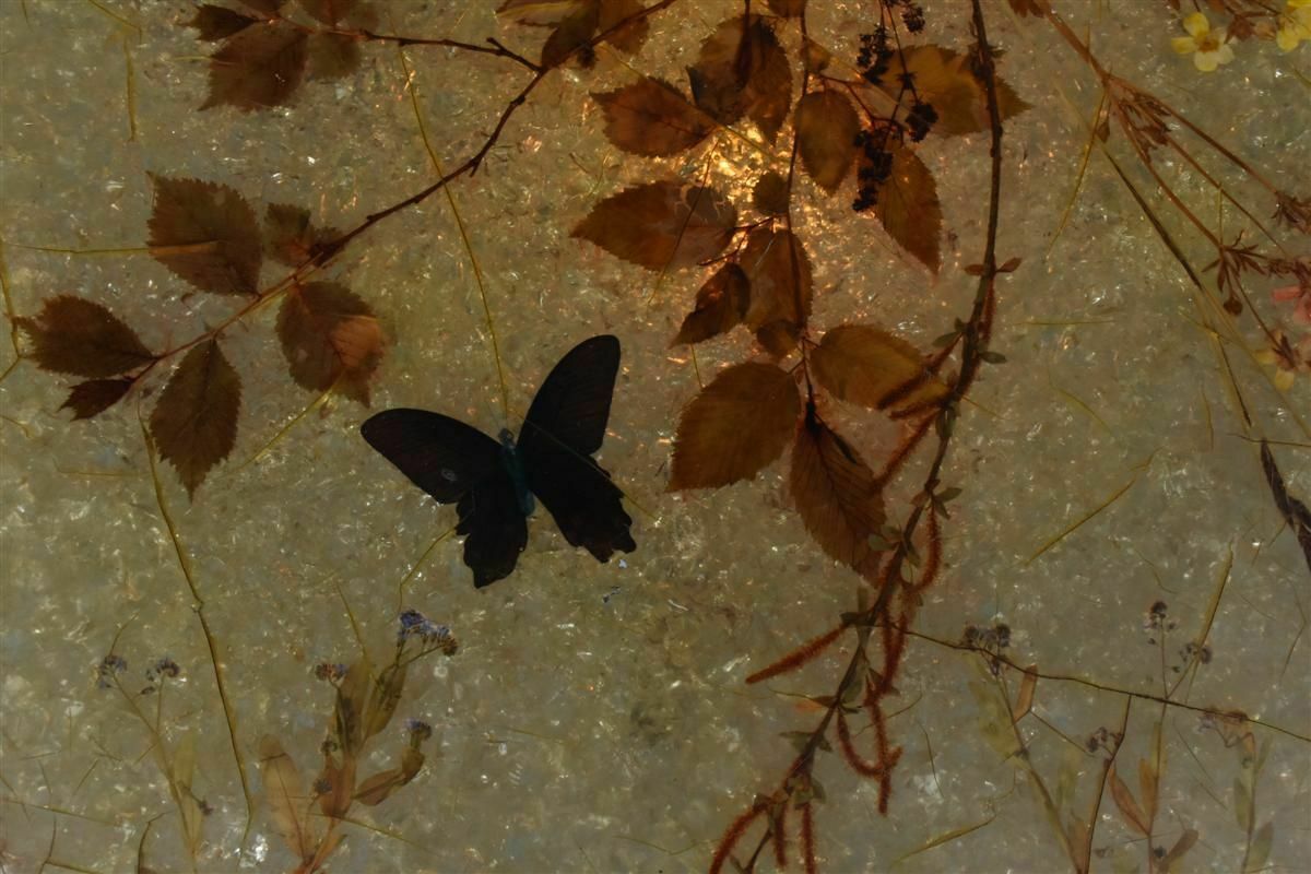 70s Resin Coffee Table Including Butterflies From Accolay photo vinterior