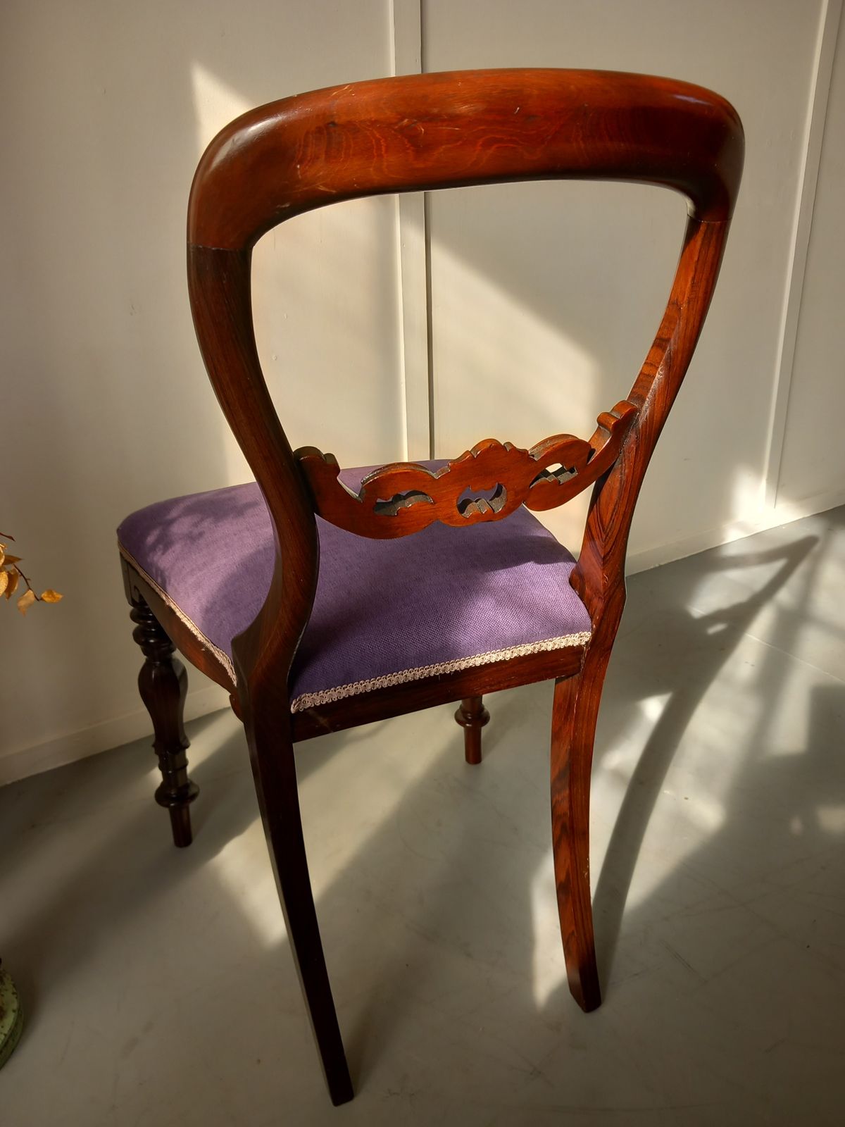 Dining Chair, 1800s, Rosewood, Antique photo Furniture