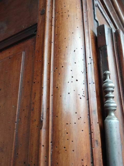 photo for sale 18th Century Walnut Cabinet, 1700s