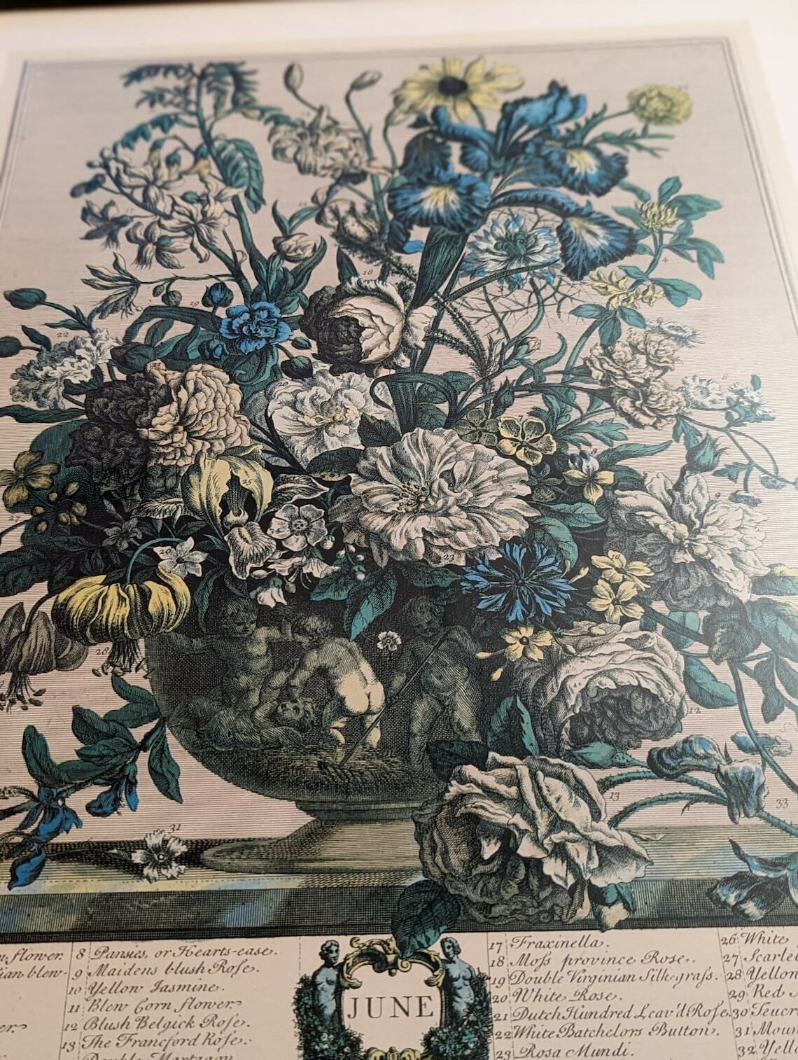 34 Flowers Of June Engraving By H. Fletcher photo buy