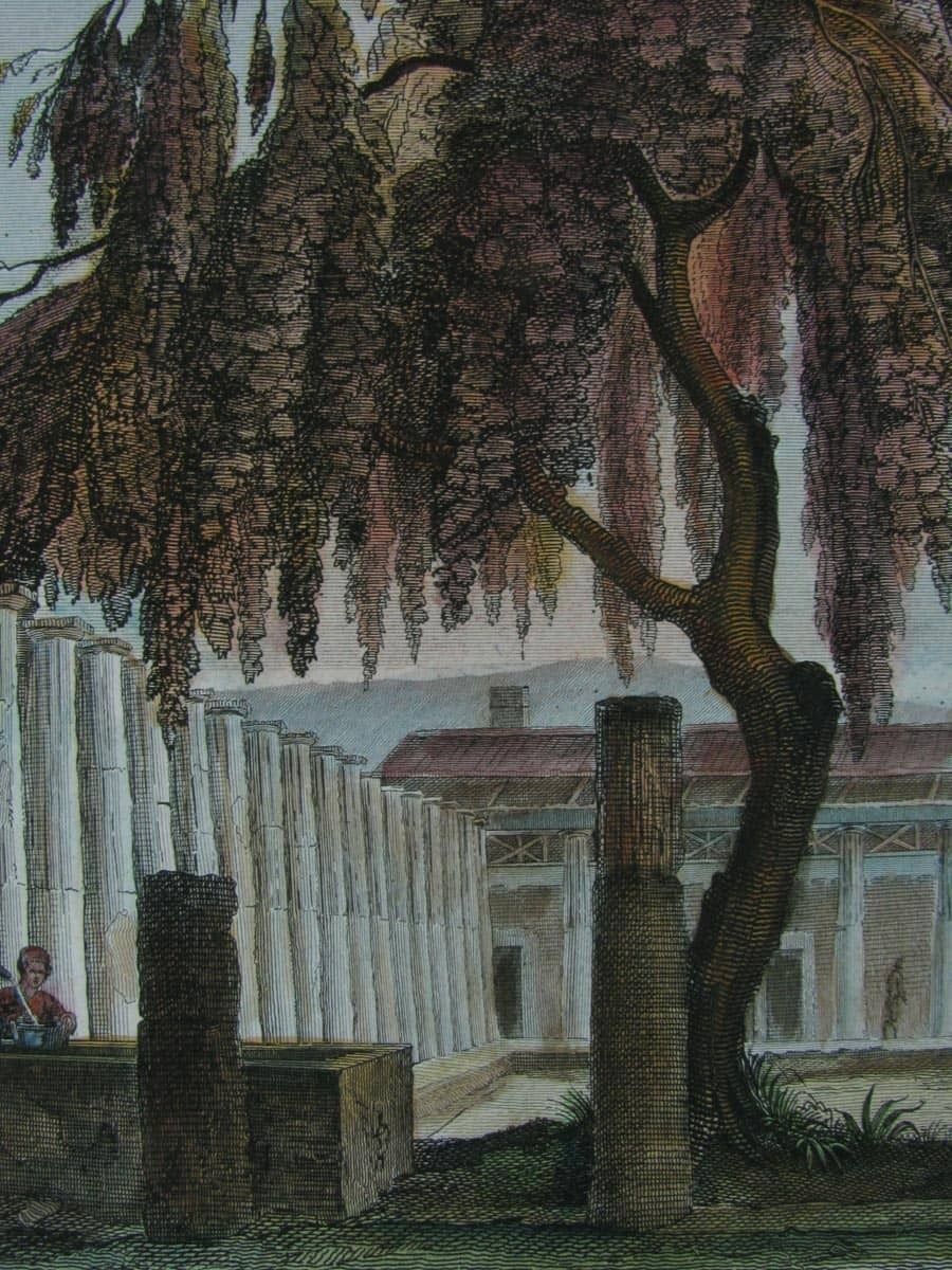 De Vegni View Of Pompeii, 1800s