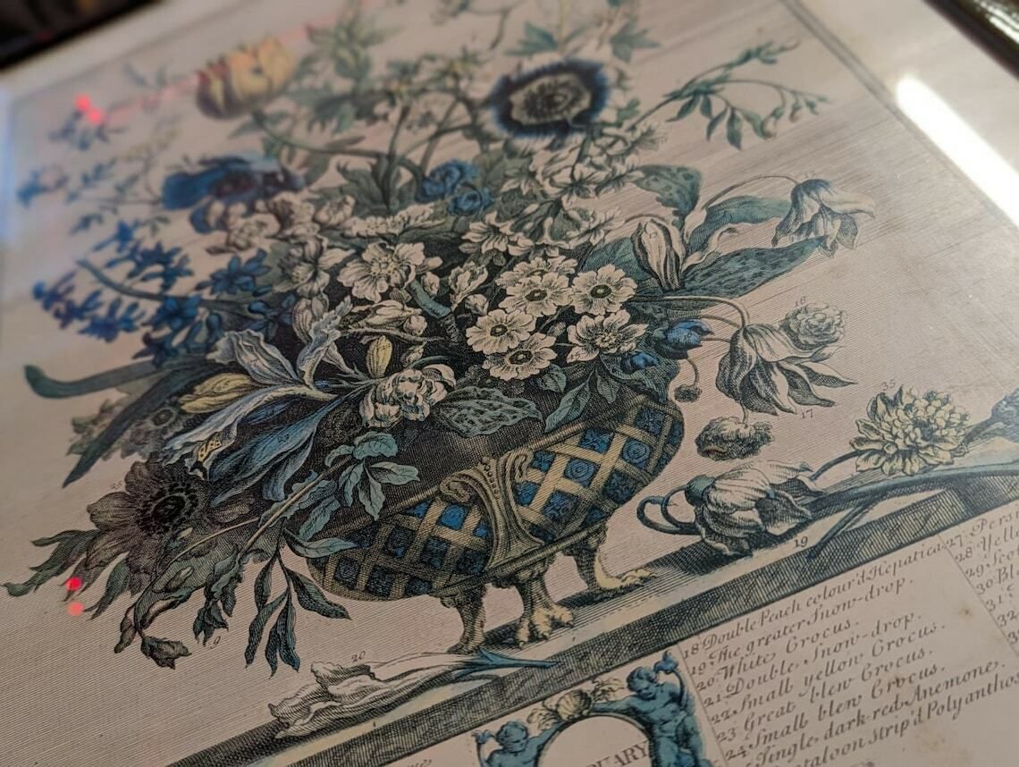 35 Flowers Of February Engraving By H. Fletcher photo for sale
