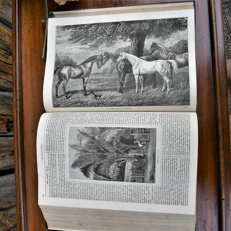 Antique 1881 The Welcome Monthly Magazine Chronical Half Leather Bound Book photo 65.0