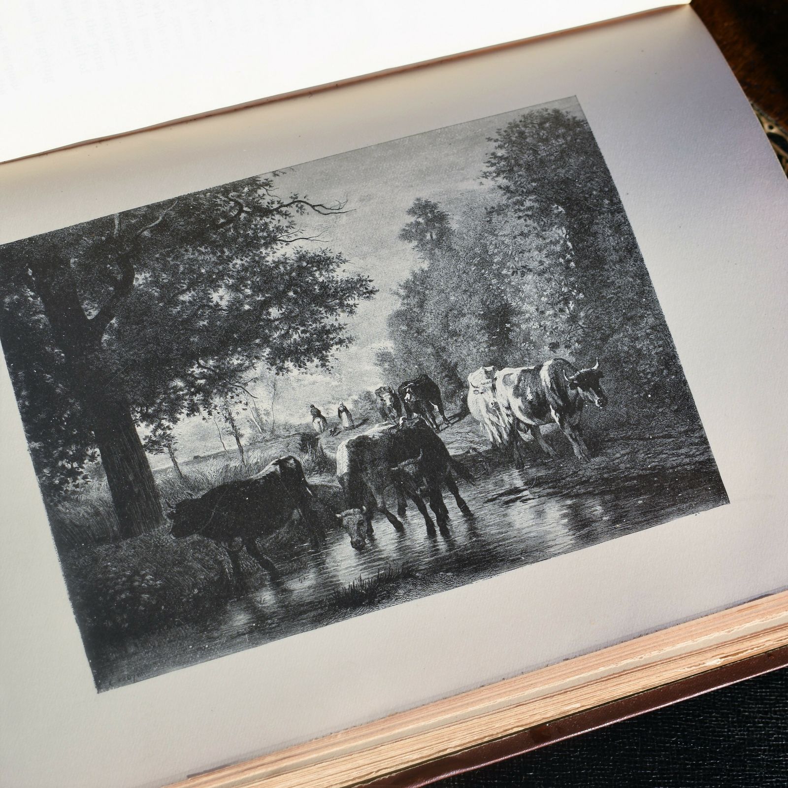 Antique Rare 1889 History Of French Painting Book Ch Stranahan Illustrations photo 65.0