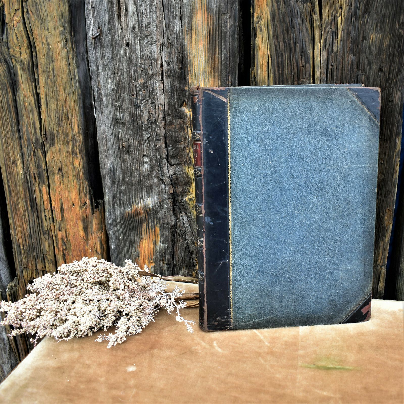 photo buy Antique 1873 Pictorial Sunday John Kitta Illustrated Prints Half Leather Book