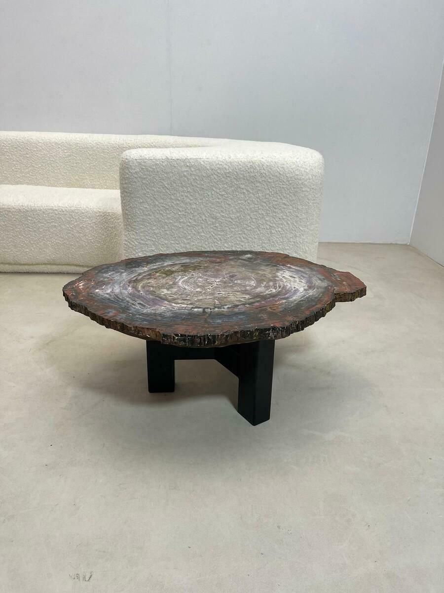 Mid Century Petrifiedwood Coffee Table, Belgium, 1970s photo Furniture