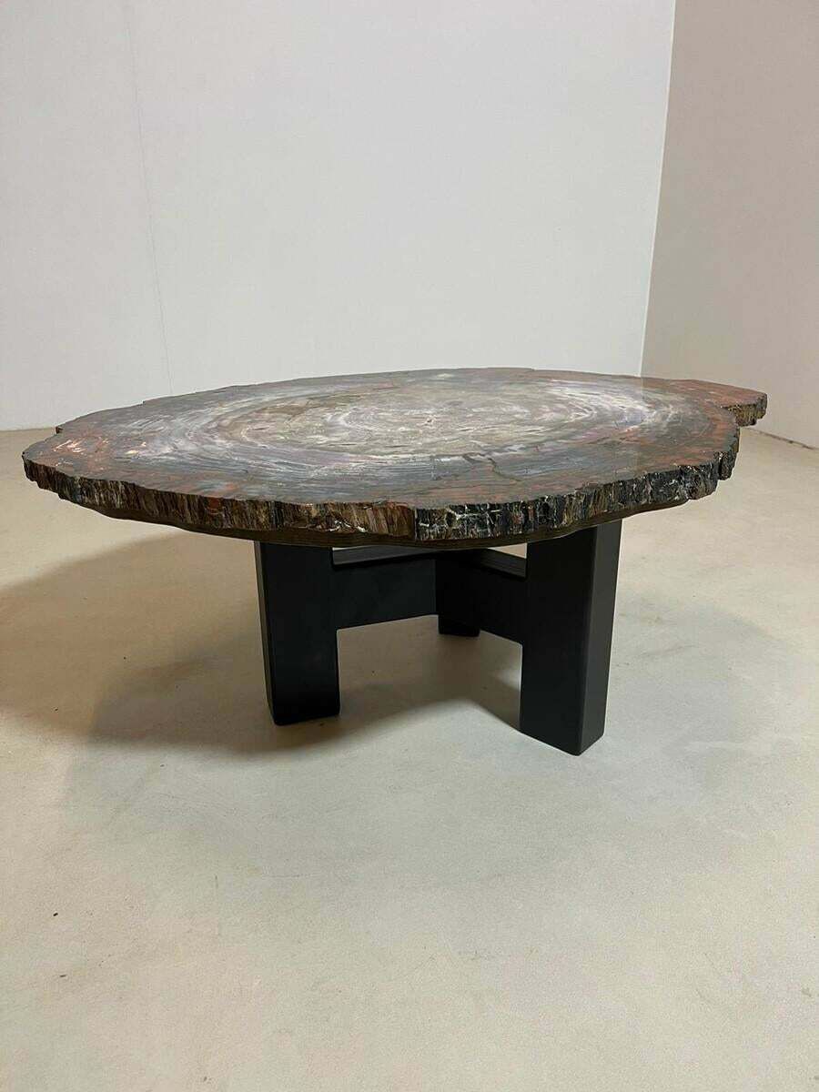 Mid Century Petrifiedwood Coffee Table, Belgium, 1970s photo buy
