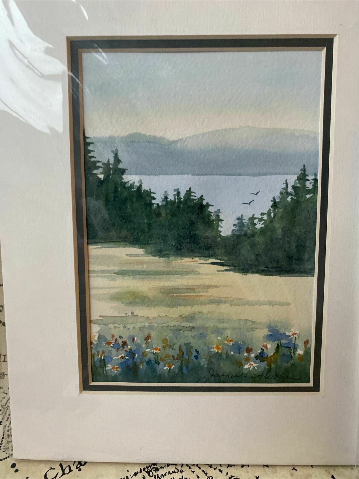 Original Watercolour By Jacqueline E Hooker X 2 Salt Spring Island Artist photo furniture