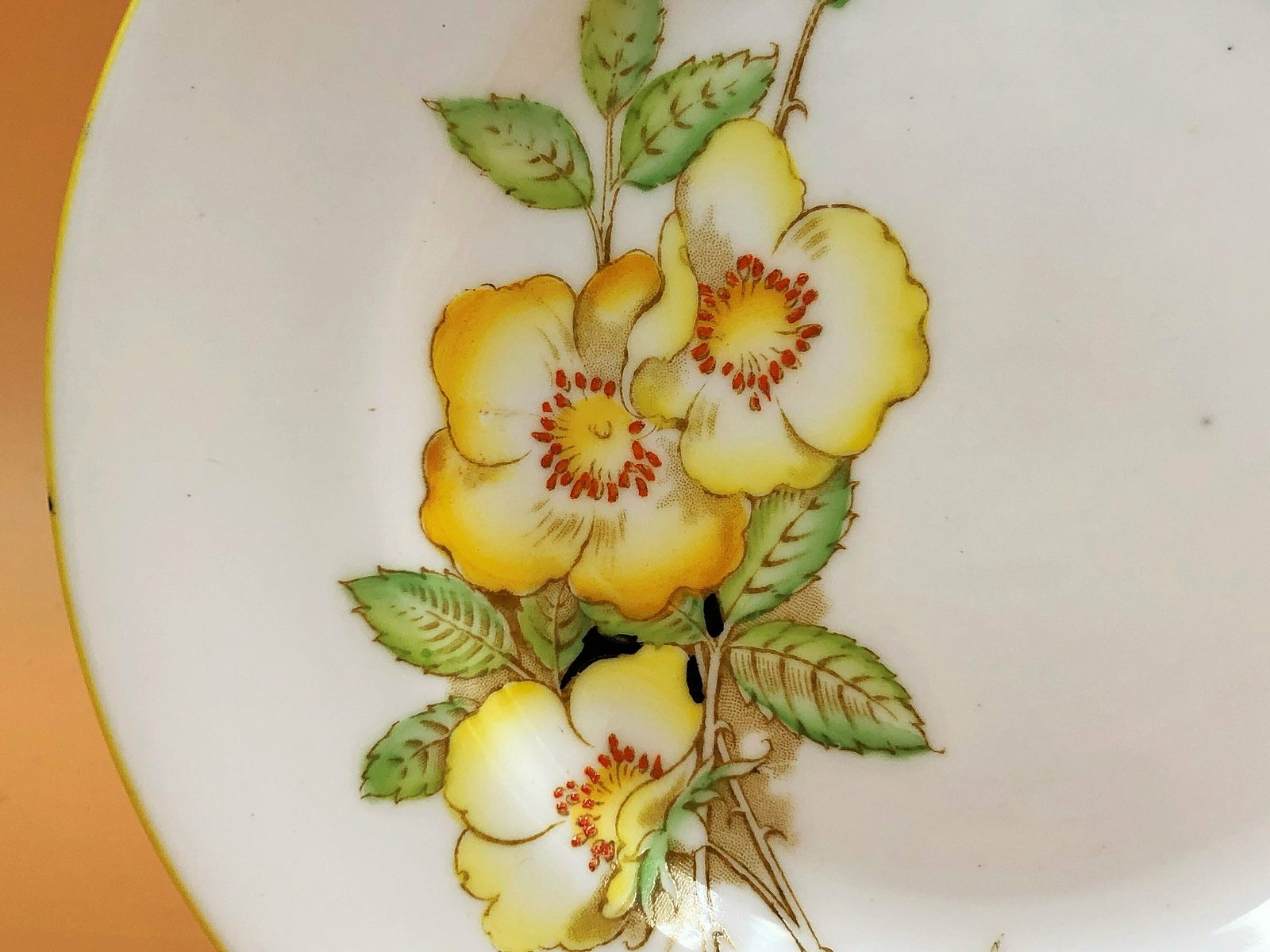 Royal Albert Crown China Art Deco Shape Wild Rose Yellow Trim Design Tea Trio. 794028. 9351. photo vintage