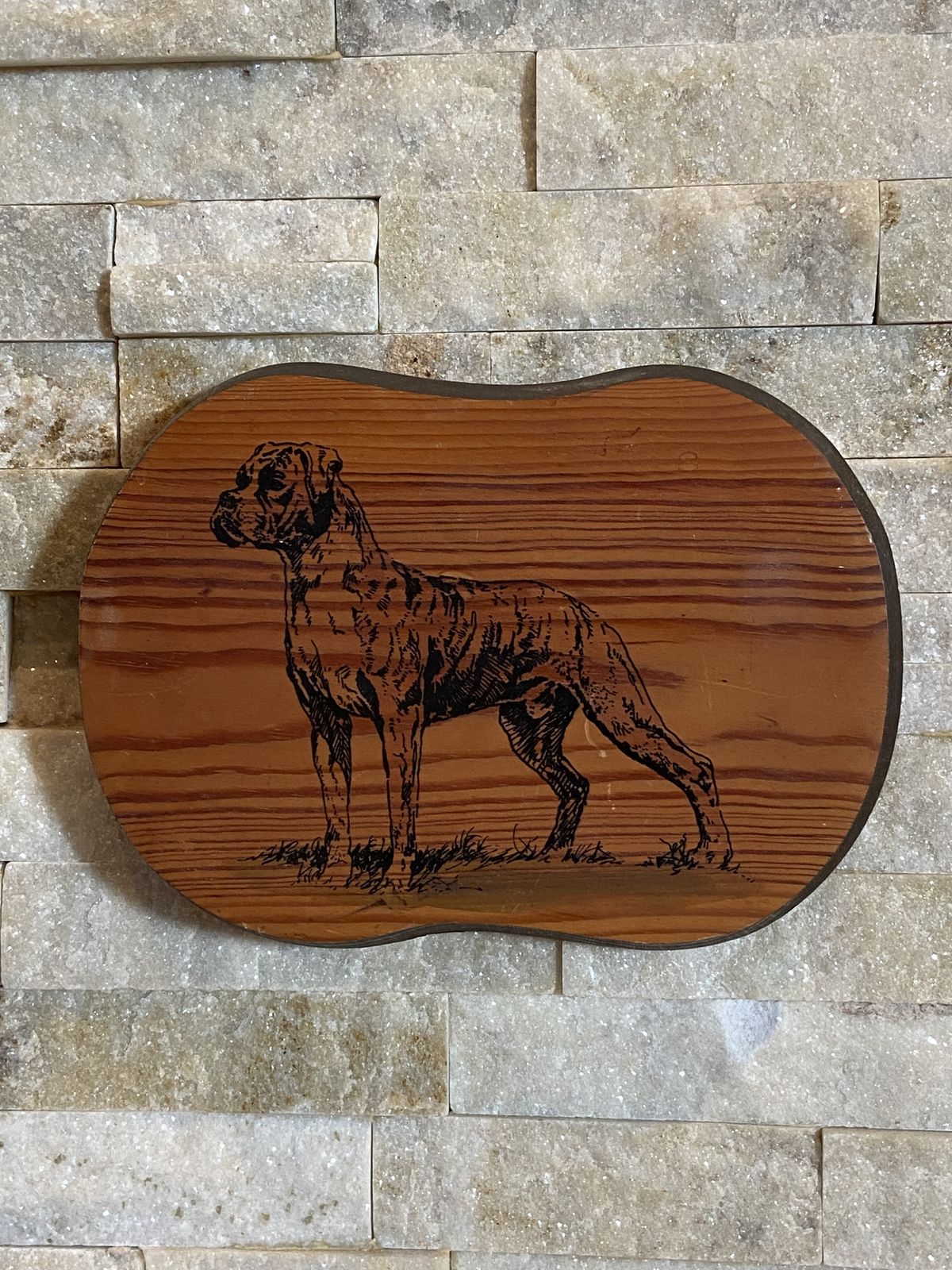 Early 20th Century Dog Portrait Plaque Wall Decoration photo vintage