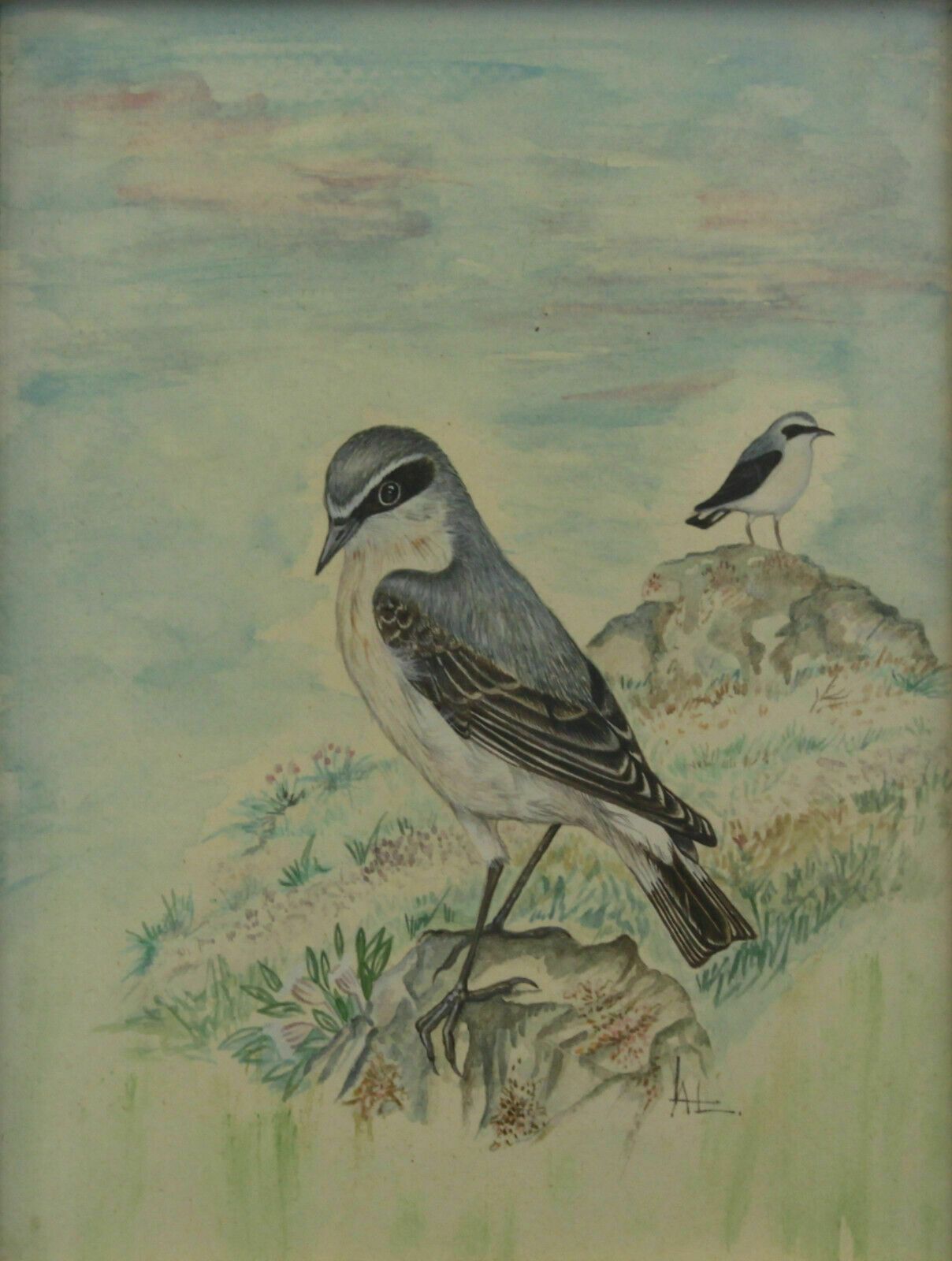 Watercolour By Antonio Lubrano Lavatera. Wheatears In An Alpine Landscape. photo furniture