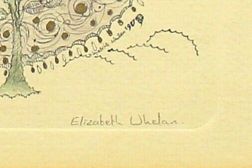 Hand Embellished Etching By Elizabeth Whelan . A Fairy With A Thistle. photo for sale