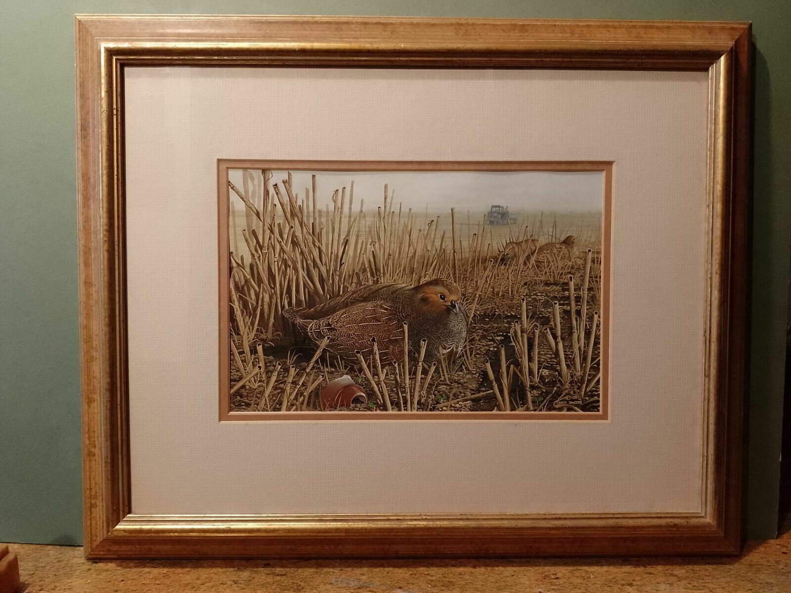 Signed Original Ornithology Gouache Painting Of Birds Chris Shields Grouse photo vintage
