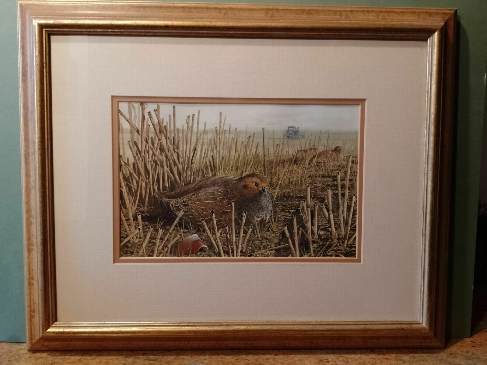 photo for sale Signed Original Ornithology Gouache Painting Of Birds Chris Shields Grouse