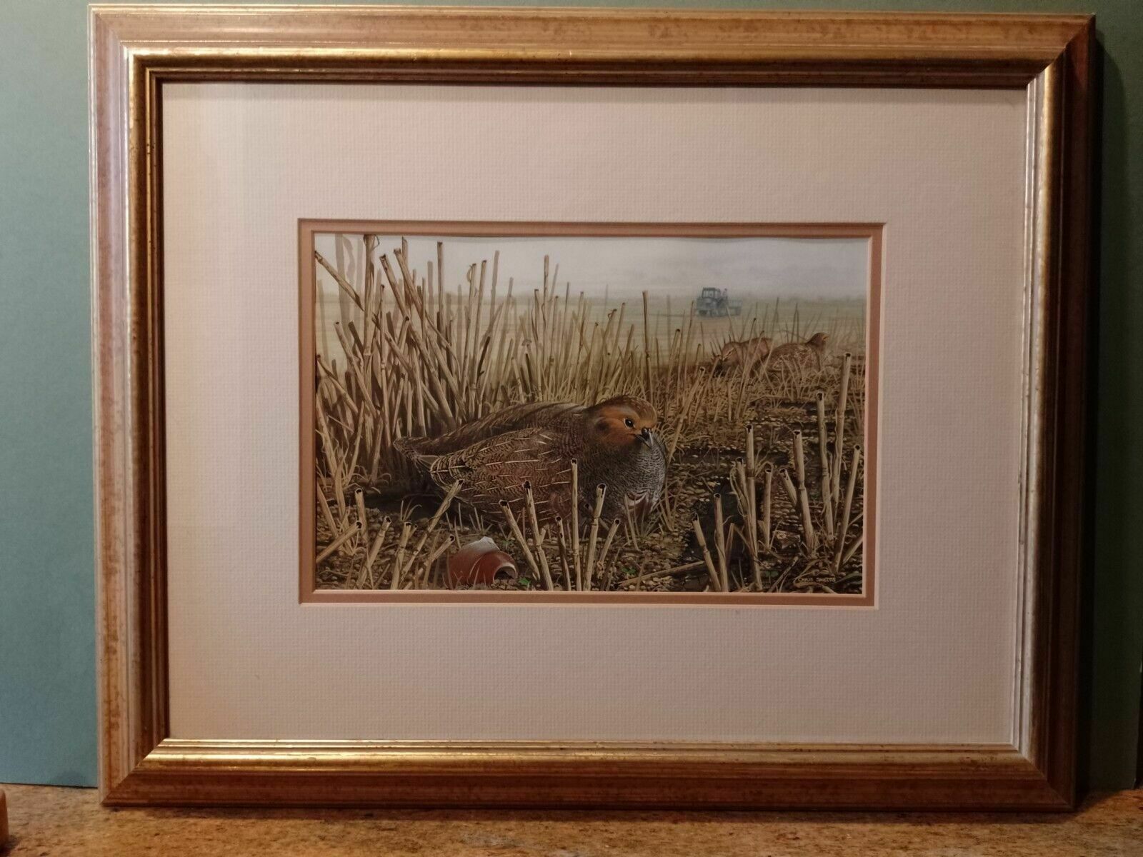 Art Signed Original Ornithology Gouache Painting Of Birds Chris Shields Grouse photo