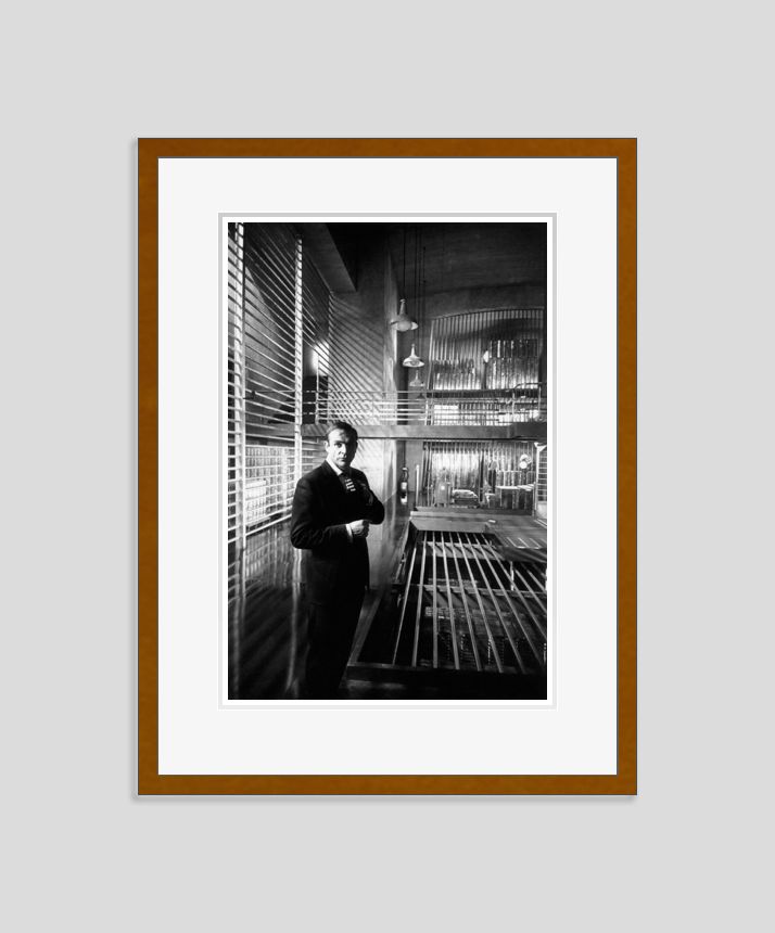 Goldfinger Brown Framed
