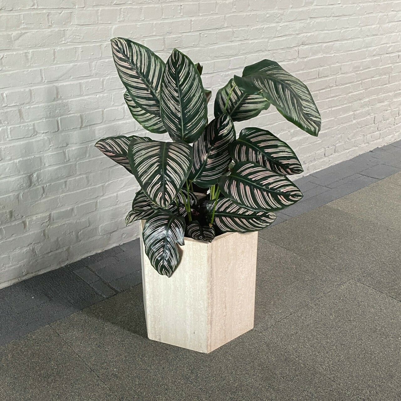 Travertijn Hexagonale Plantenbak, Jaren 1980 photo vinterior