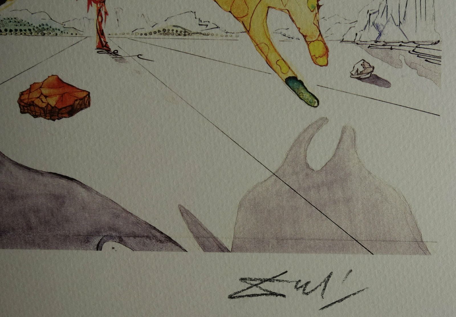 Fine Surrealist Limited Edition Print, Butterfly, Salvador Dali, Signed & Numbered In Pencil photo Art