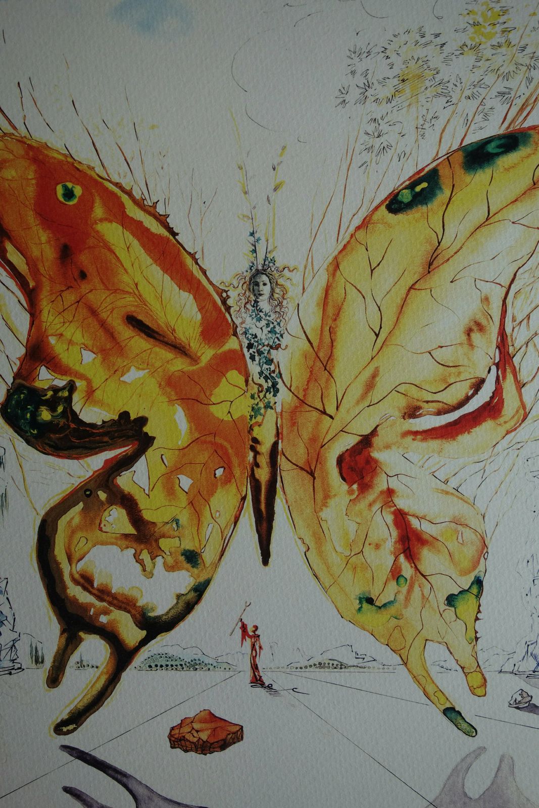 Fine Surrealist Limited Edition Print, Butterfly, Salvador Dali, Signed & Numbered In Pencil photo buy
