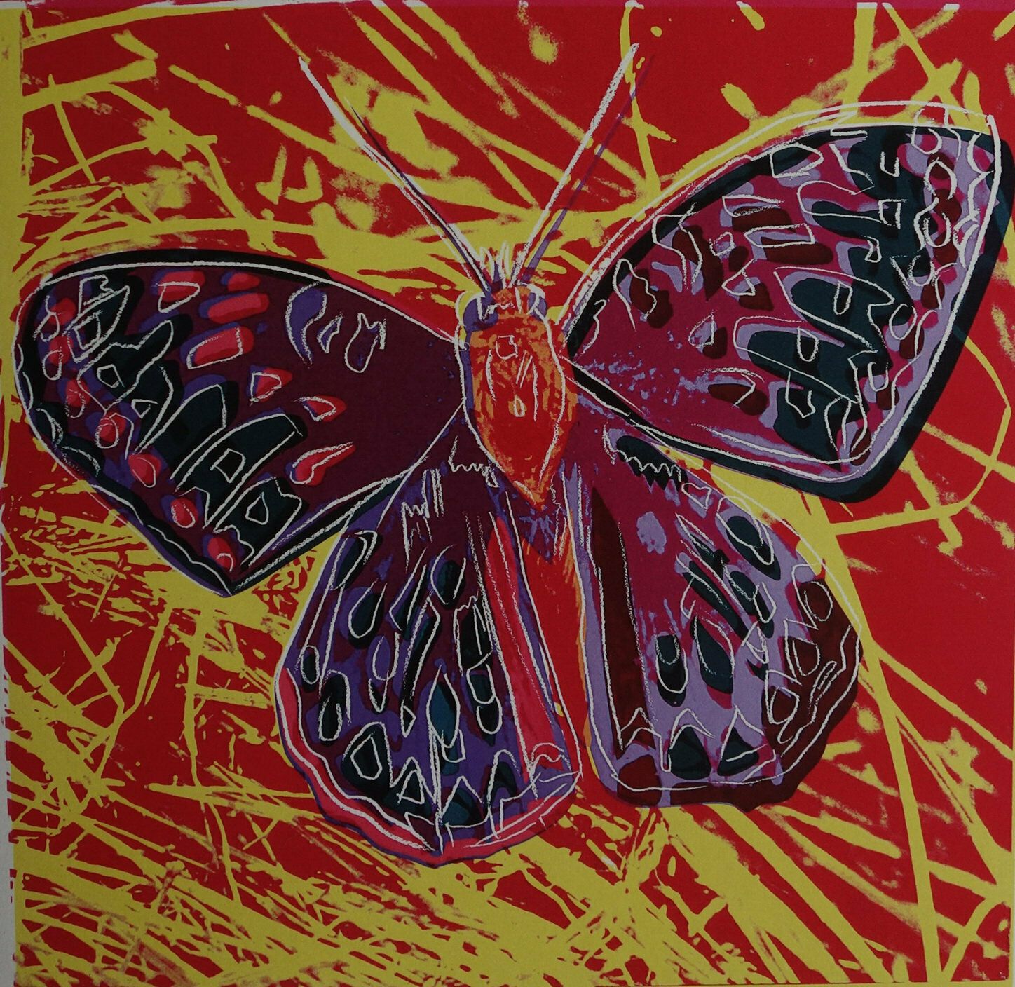 Fine Pop Art Limited Edition Print   Animal Series   Butterfly, Andy Warhol, Signed & Numbered photo furniture