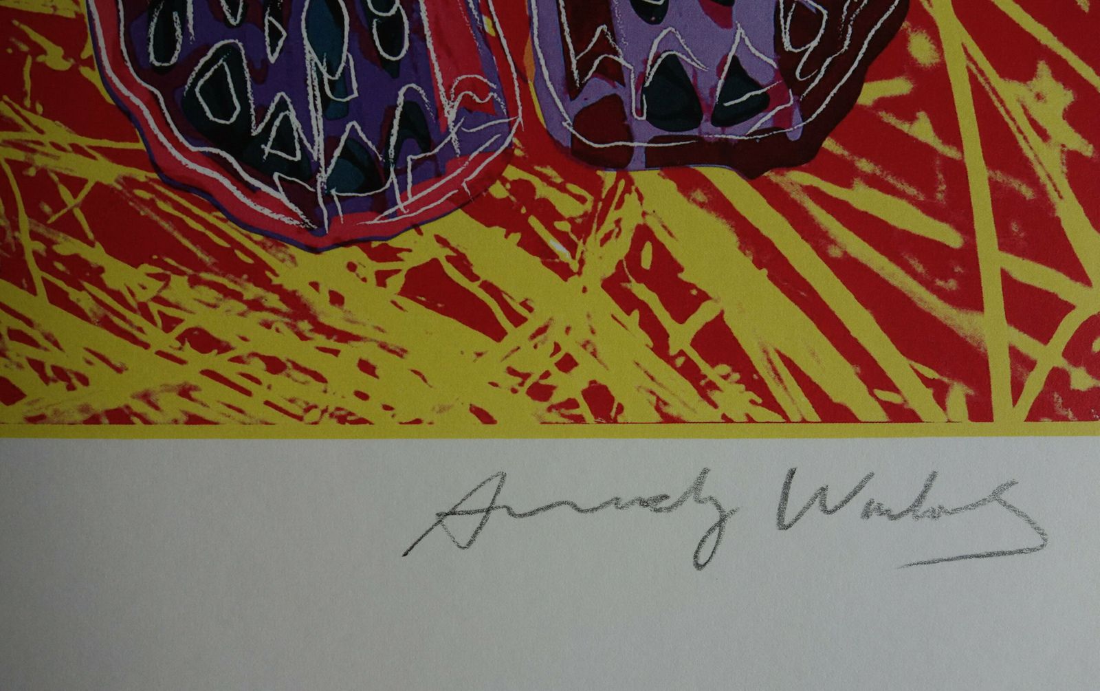 Fine Pop Art Limited Edition Print   Animal Series   Butterfly, Andy Warhol, Signed & Numbered photo Art