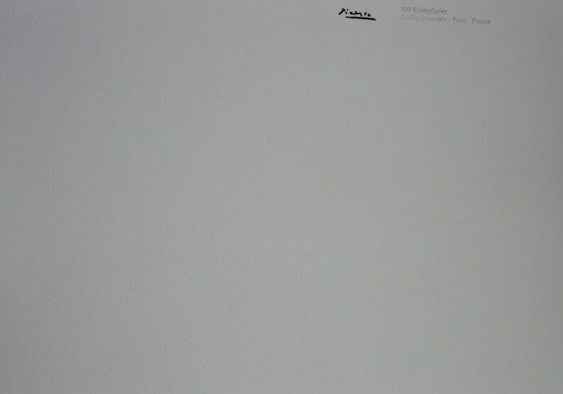 Rare Beautiful Limited Cubist Print   Dove, Pablo Picasso, Signed & Stamped photo vinterior