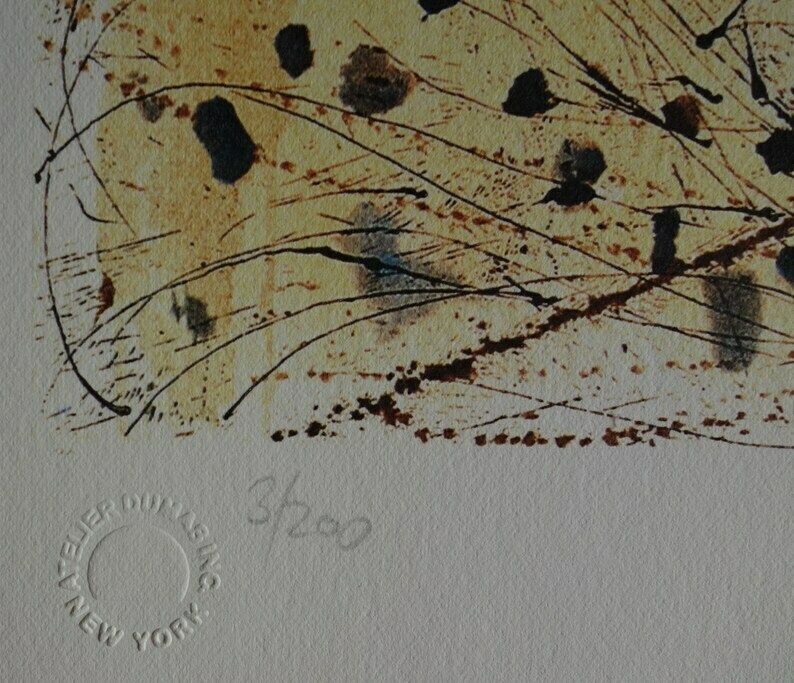 Fine Surrealist Limited Edition Print, Woman, Salvador Dali, Signed & Numbered In Pencil photo 207.0