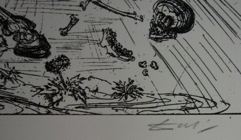 Fine Surrealist Limited Edition Print, Horse Rider, Salvador Dali, Signed & Numbered In Pencil photo Art