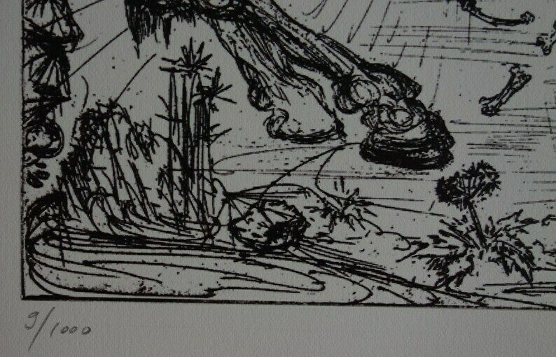 Fine Surrealist Limited Edition Print, Horse Rider, Salvador Dali, Signed & Numbered In Pencil photo 190.0