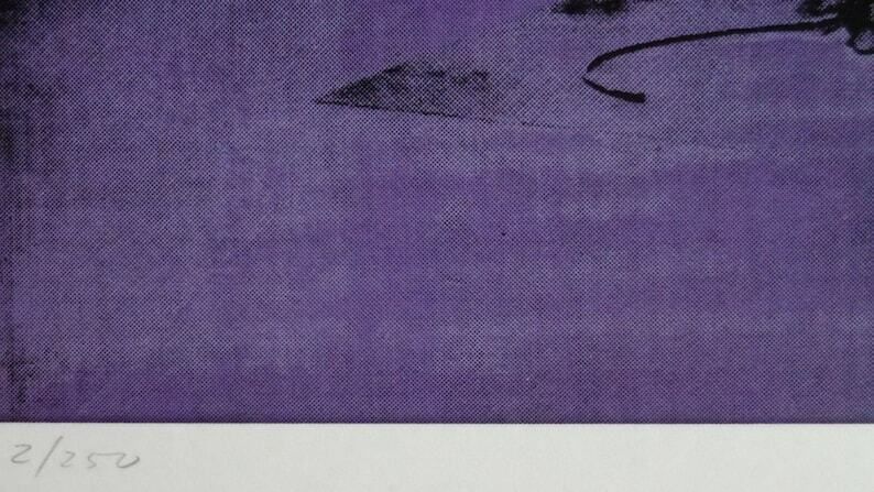 Fine Pop Art Limited Edition Print – Electric Chair Series, Andy Warhol, Signed & Numbered photo 164.0