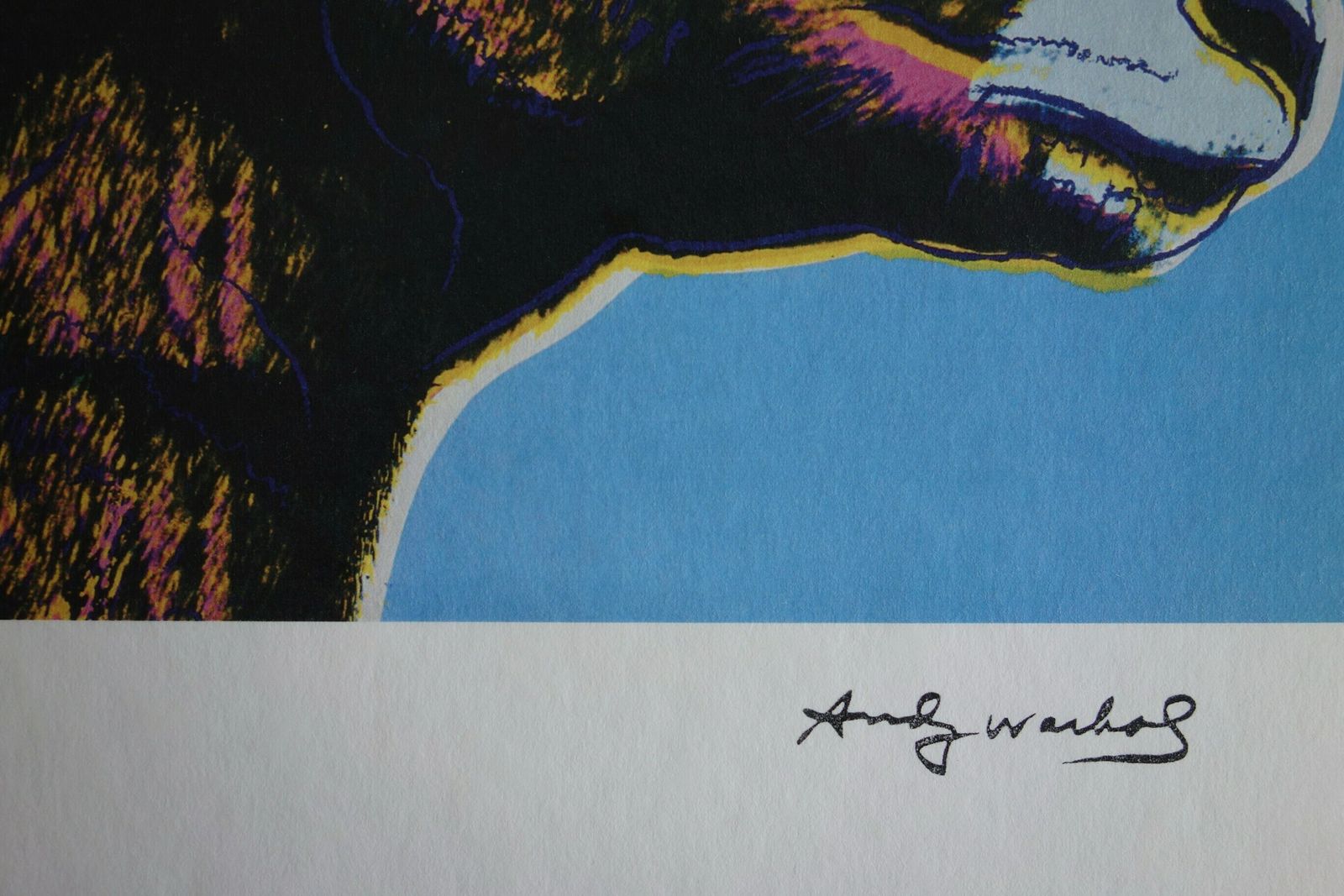 Fine Pop Art Limited Edition Print   Animal Series   Bighorn Ram, Andy Warhol, Signed & Numbered photo for sale