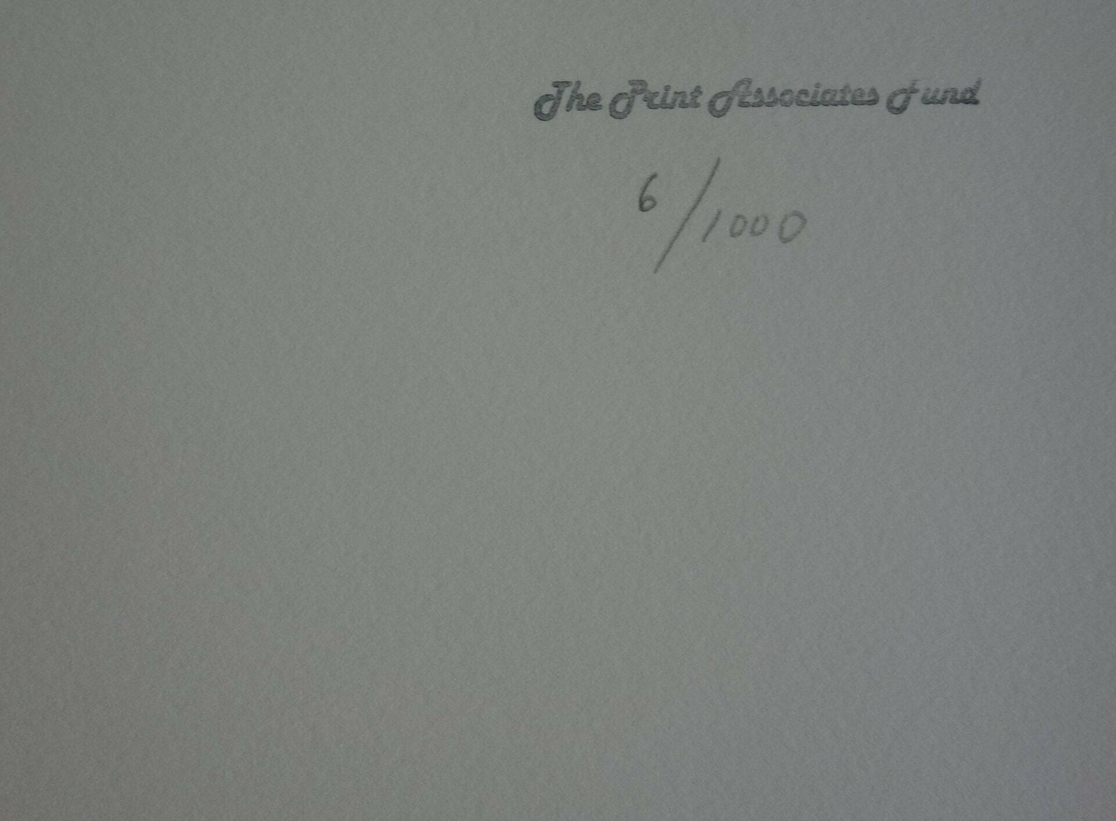 Fine Surrealist Limited Edition Print, Salvador Dali, Signed & Numbered In Pencil photo Art