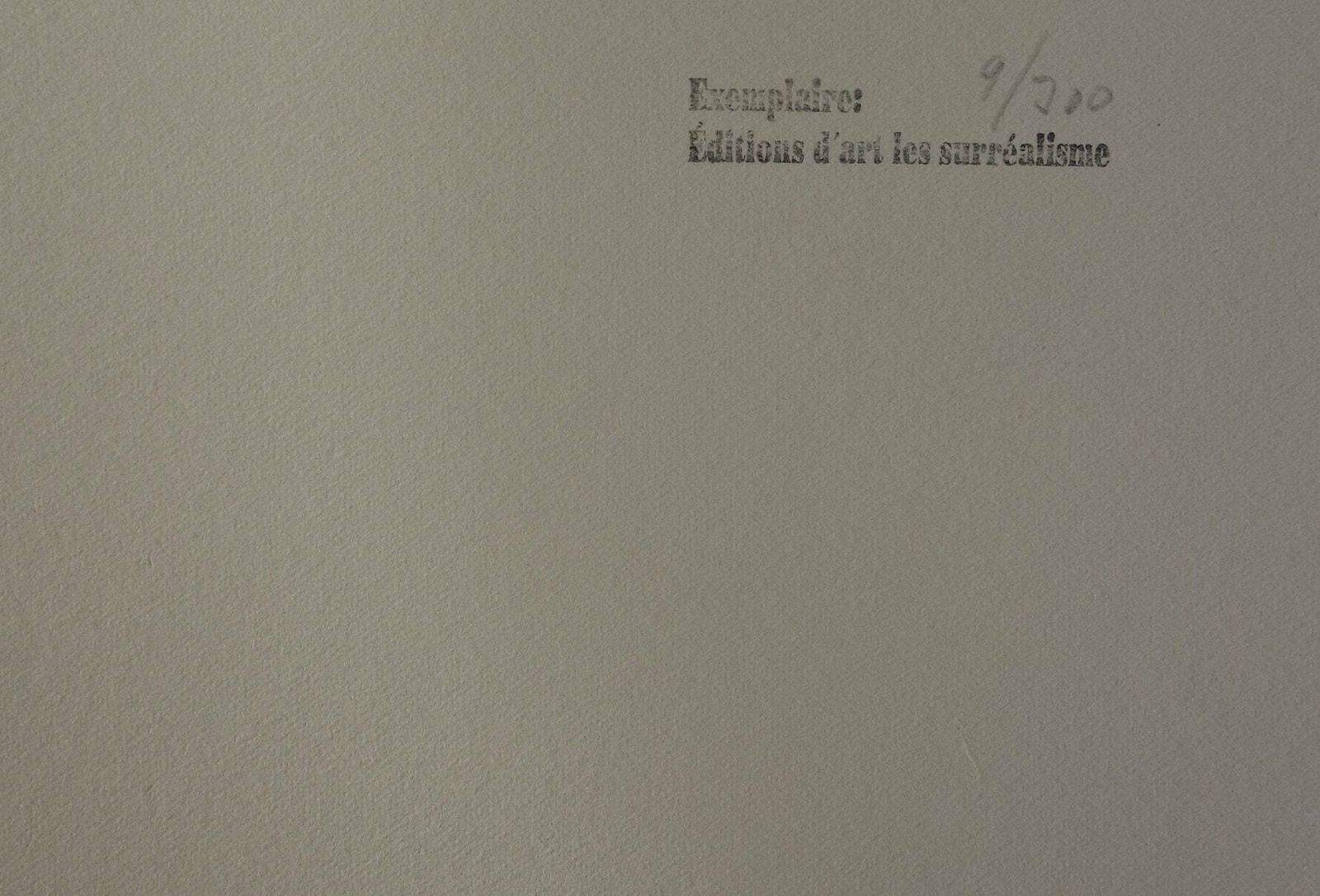 Fine Surrealist Limited Edition Print, Salvador Dali, Signed & Numbered In Pencil photo Art