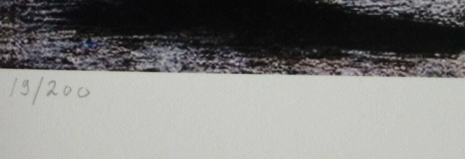 Fine Cubist Limited Edition Print, Pablo Picasso, Hand Signed & Hand Numbered photo Art