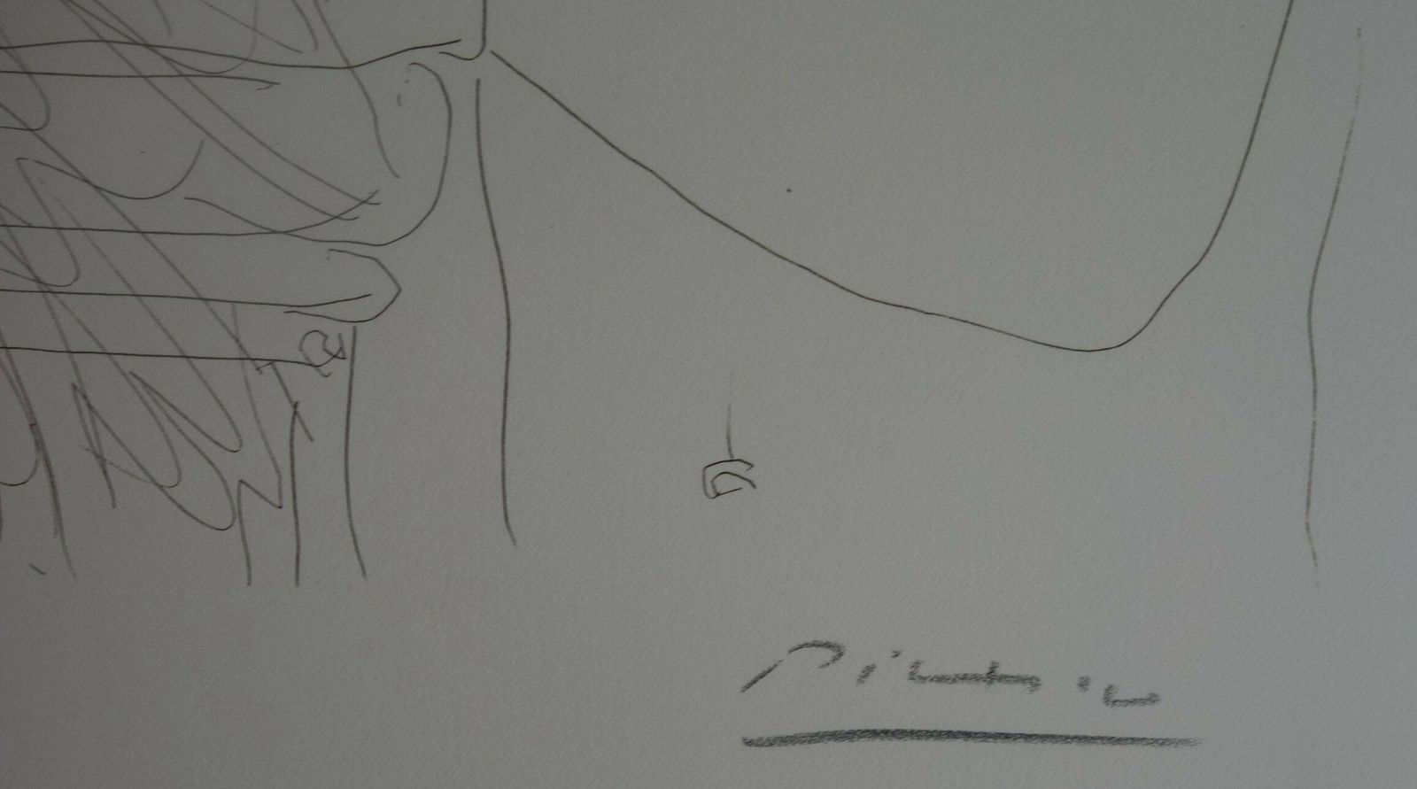 Fine Cubist Limited Edition Print, Pablo Picasso, Hand Signed & Hand Numbered photo Art