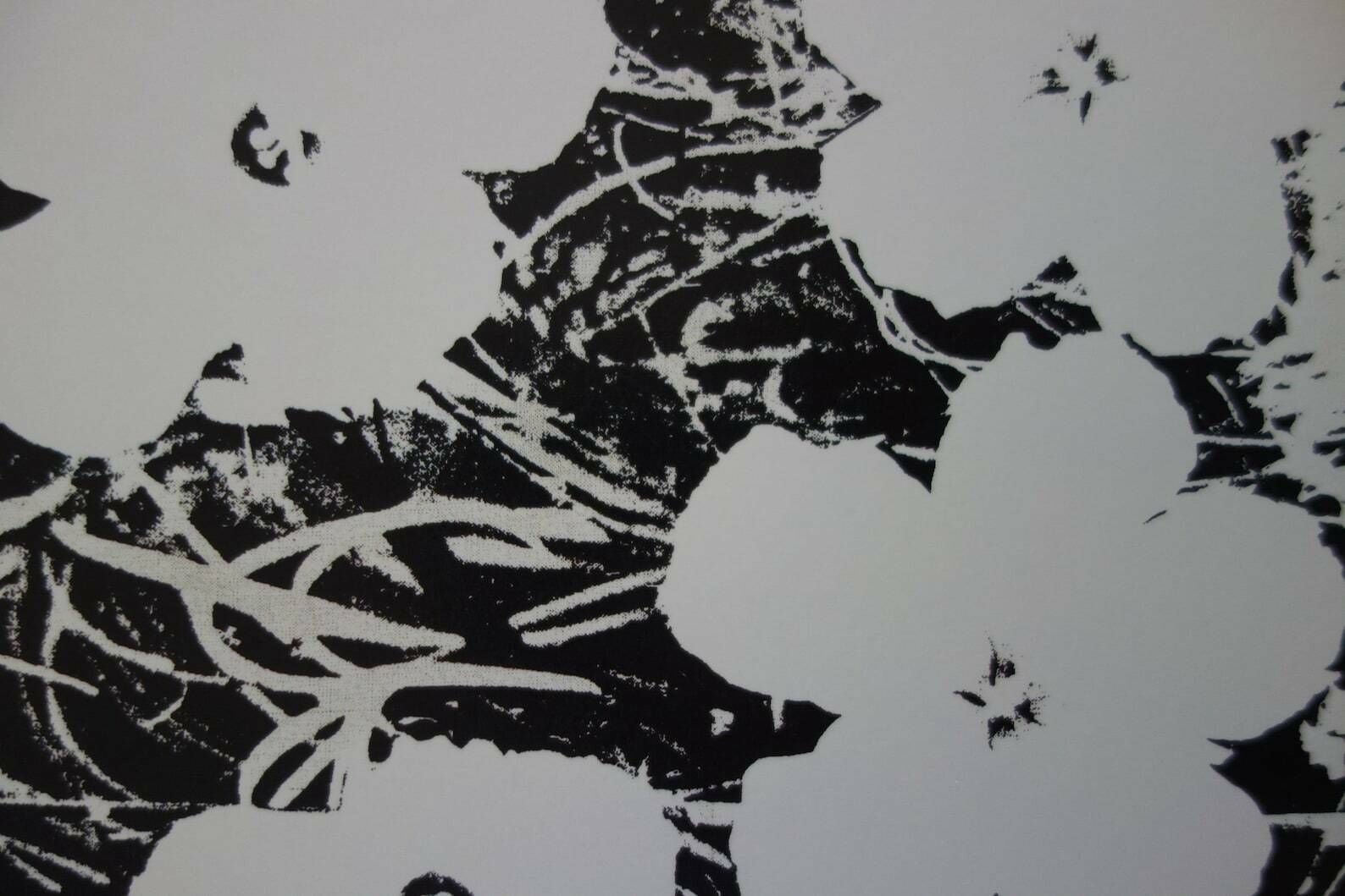 Fine Pop Art Limited Edition Print – Flowers, Andy Warhol, Stamp Signed & Numbered photo for sale