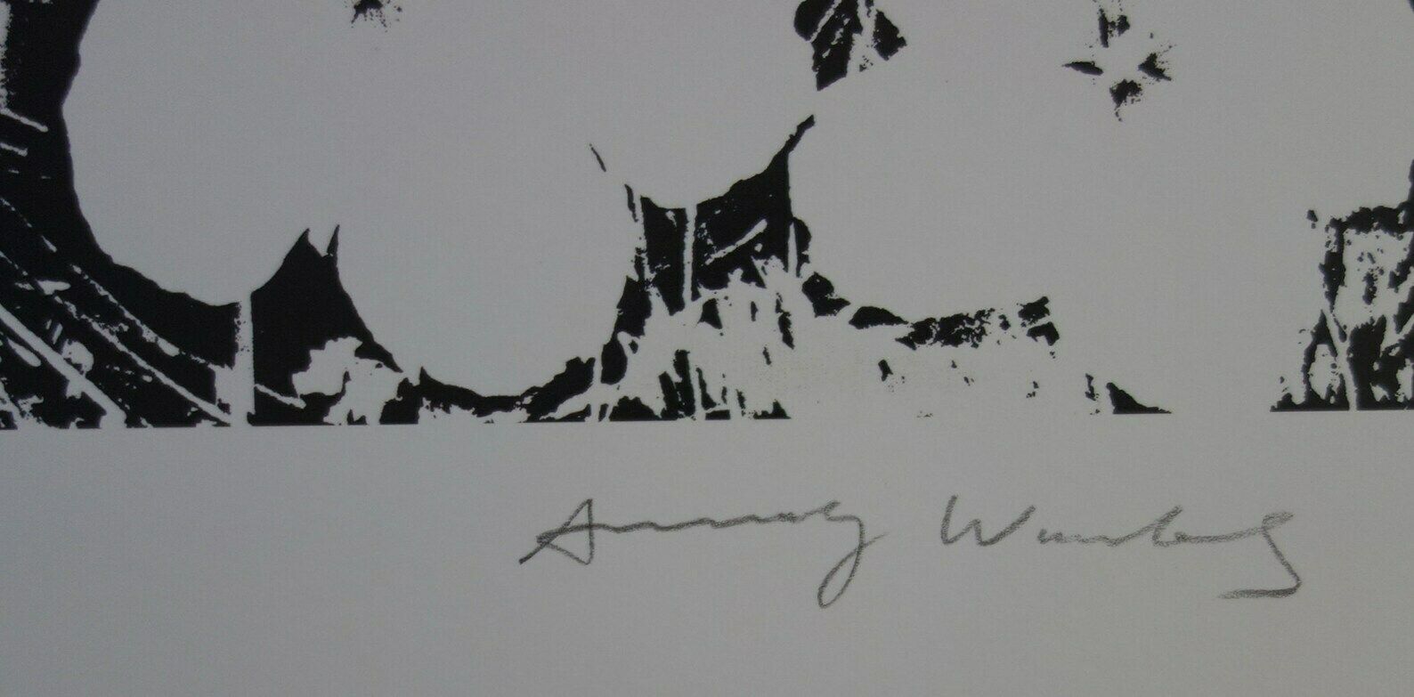 Fine Pop Art Limited Edition Print – Flowers, Andy Warhol, Stamp Signed & Numbered photo Art