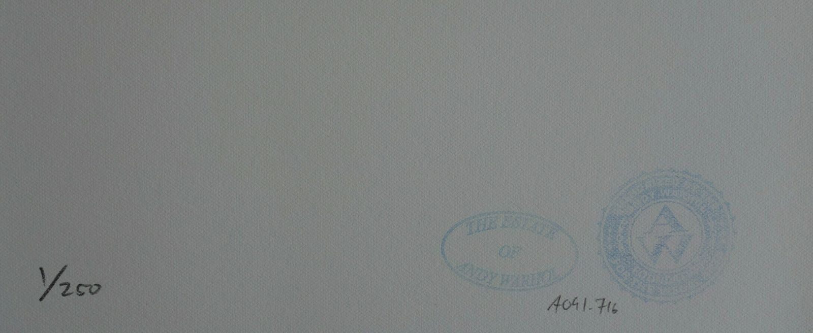 Fine Pop Art Limited Edition Print – Campbell’s Soup Can, Andy Warhol, Signed & Numbered, With Estate Stamp photo Art