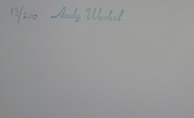 Fine Pop Art Limited Edition Print   Illustration   Dancers, Andy Warhol, Signed & Numbered photo 174.0