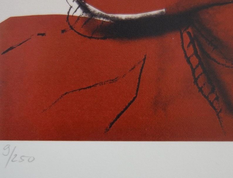 Fine Pop Art Limited Edition Print – Muhammad Ali, Andy Warhol, Signed & Numbered photo 192.0