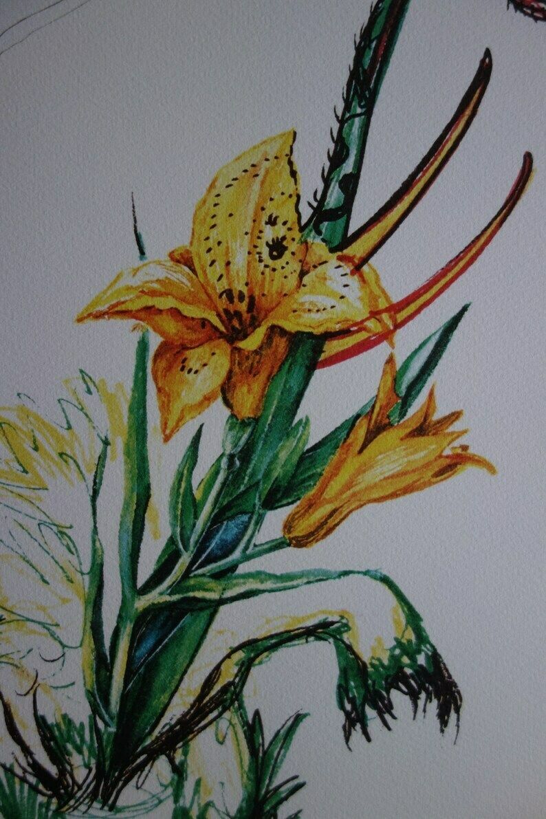 Fine Surrealist Limited Edition Print, Flower And Elephant, Salvador Dali, Signed & Numbered In Pencil photo for sale