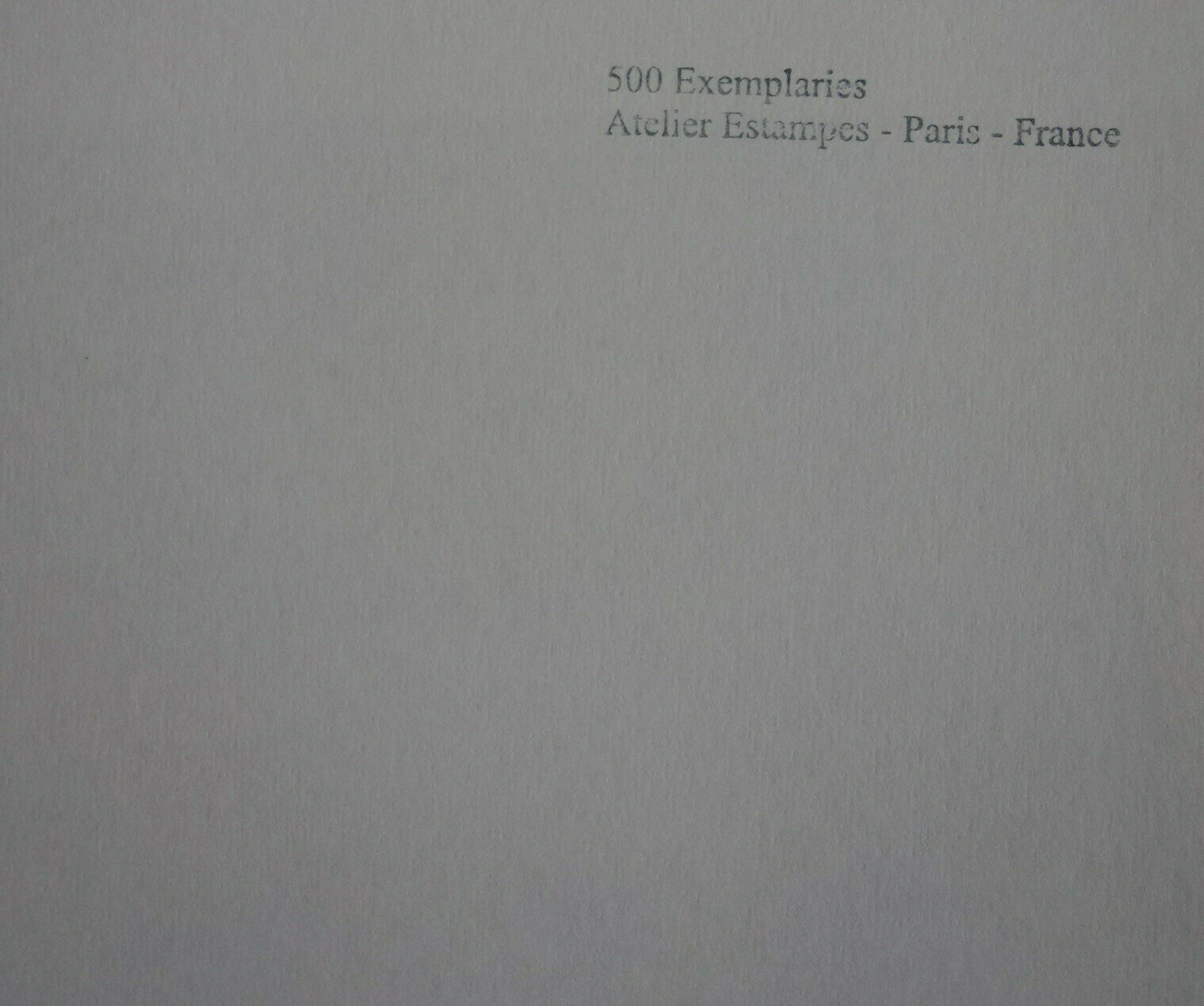 Fine Cubist Limited Edition Print   Buste De Femme, Pablo Picasso, Signed & Stamped photo 158.0